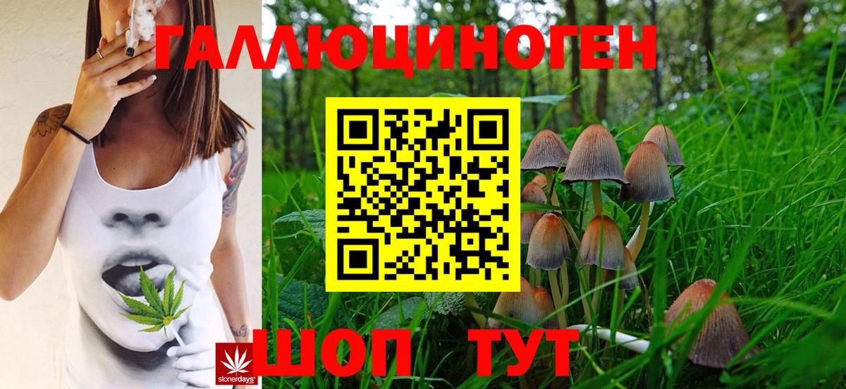 Новороссийск  Псилоцибиновые грибы Cubensis  Вход с VPN  Псилоцибиновые грибы мухоморы 